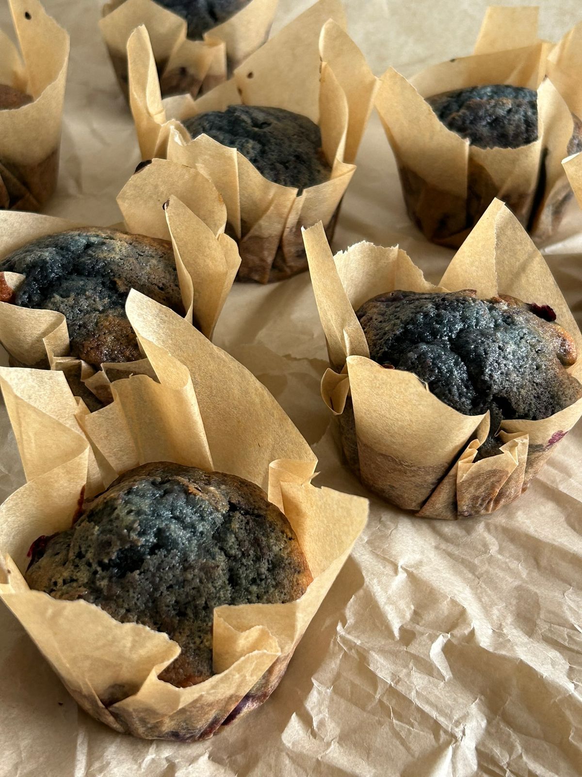 Blueberry Muffins