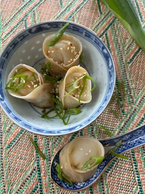 Chicken Dumplings
